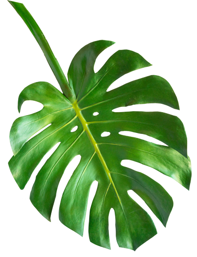 green leaves